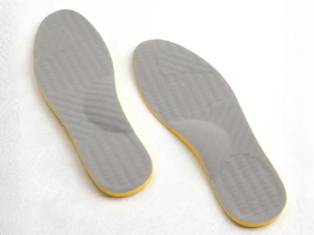 Plantilla (Importada)